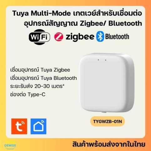 Tuya CTYGW2B-01N